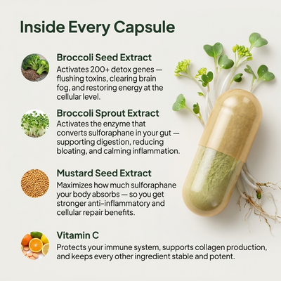 Broccoli Sprout Extract Capsules