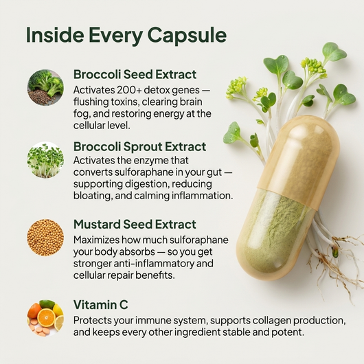 Broccoli Sprout Extract Capsules