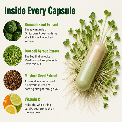 Broccoli Sprout Extract Capsules
